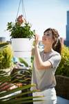 greenville hanging basket 24cm white
